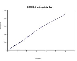 Eurofins DiscoverX DCAMKL3 Protein, Active 10 &mu;g | Buy Online | Eurofins DiscoverX | Fisher Scientific